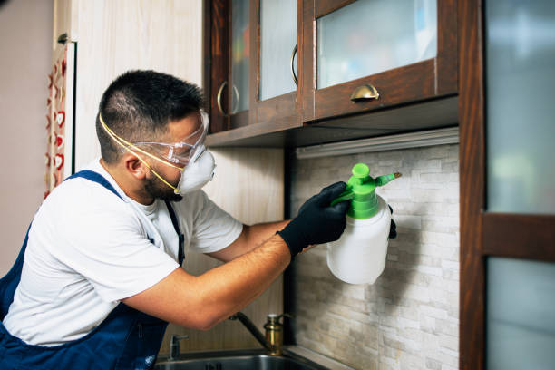 Pest Prevention Services in Lesslie, SC