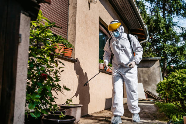 Best Pest Prevention Services  in Lesslie, SC
