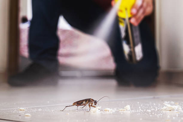 Best Pest Inspection Near Me  in Lesslie, SC