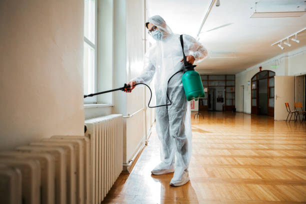 Best Pest Inspection Near Me  in Lesslie, SC