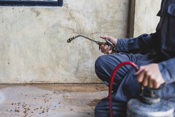 Best Pest Control for Businesses  in Lesslie, SC